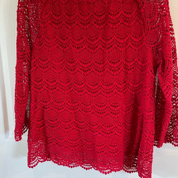 NWT RSVP Talbots red crocheted lace top (lined) blouse shirt Sz L.Worn once. $12 - Picture 4 of 4